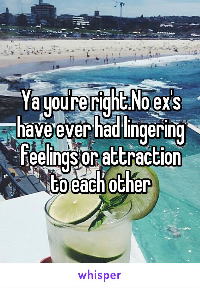 Ya you're right.No ex's have ever had lingering feelings or attraction to each other