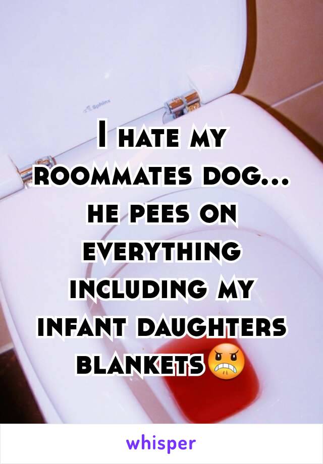 I hate my roommates dog... he pees on everything including my infant daughters blankets😠