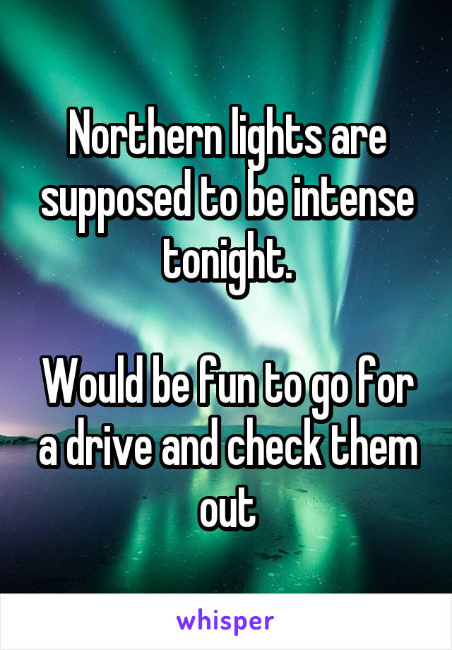Northern lights are supposed to be intense tonight.

Would be fun to go for a drive and check them out