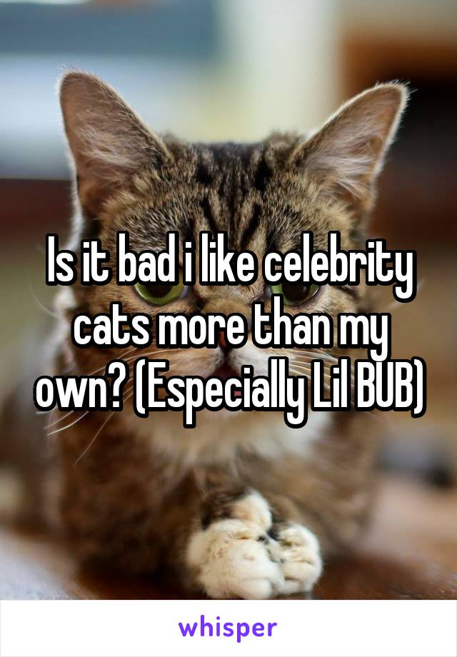 Is it bad i like celebrity cats more than my own? (Especially Lil BUB)