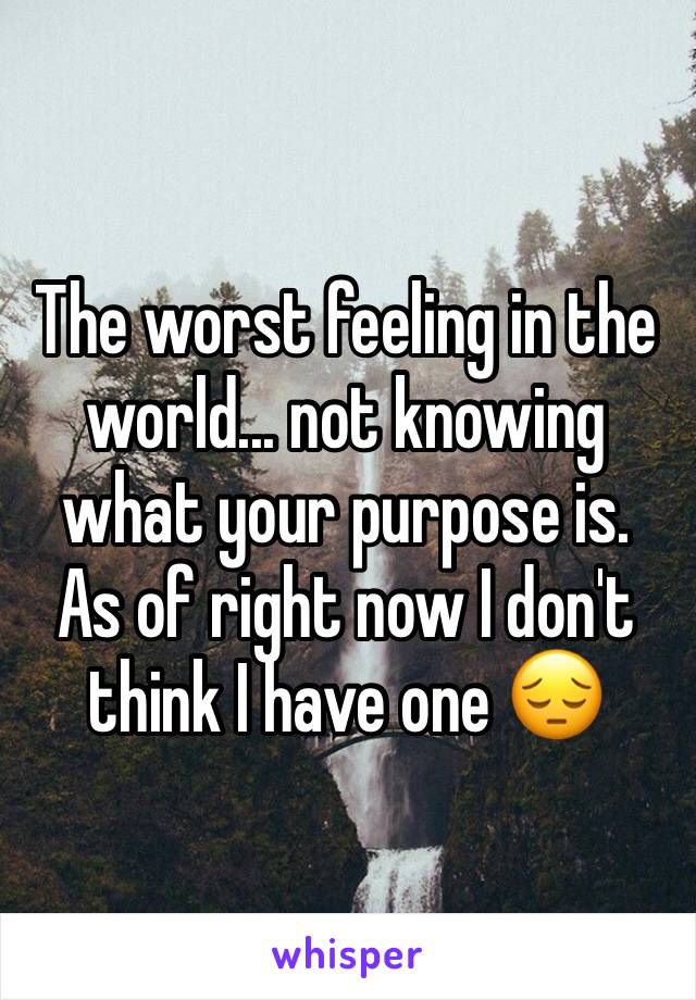 The worst feeling in the world... not knowing what your purpose is. 
As of right now I don't think I have one 😔