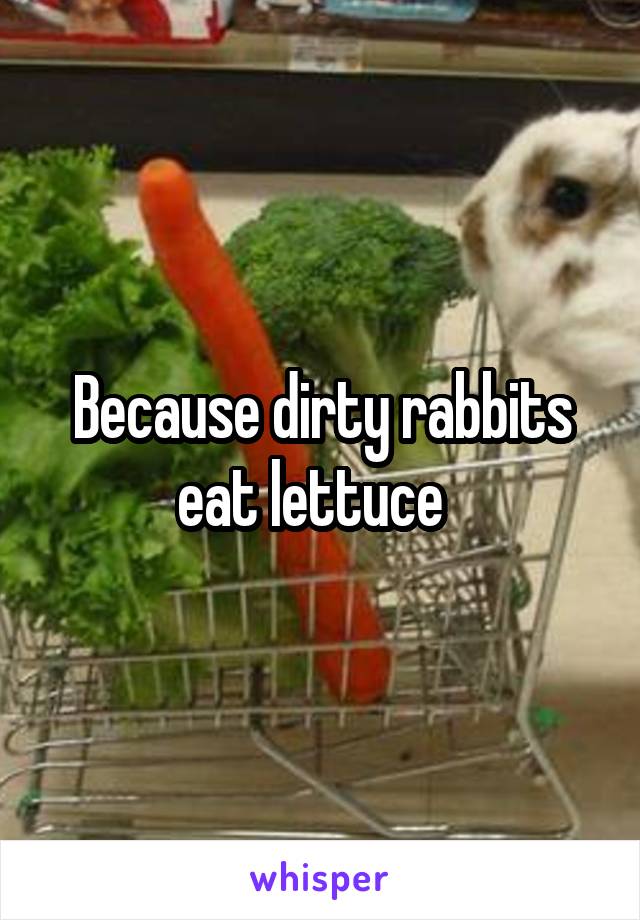 Because dirty rabbits eat lettuce  