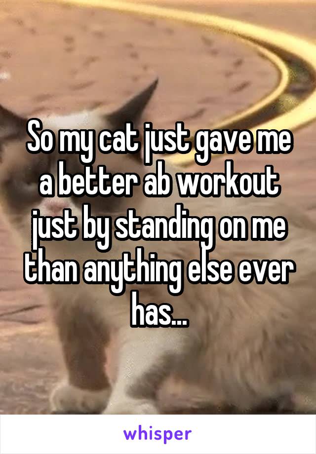 So my cat just gave me a better ab workout just by standing on me than anything else ever has...