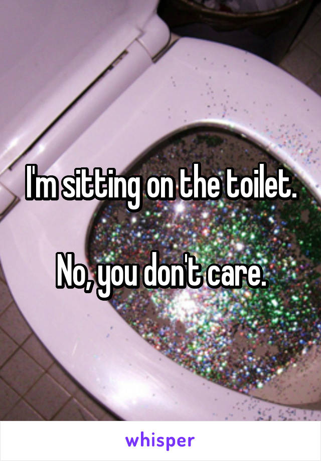 I'm sitting on the toilet.

No, you don't care.