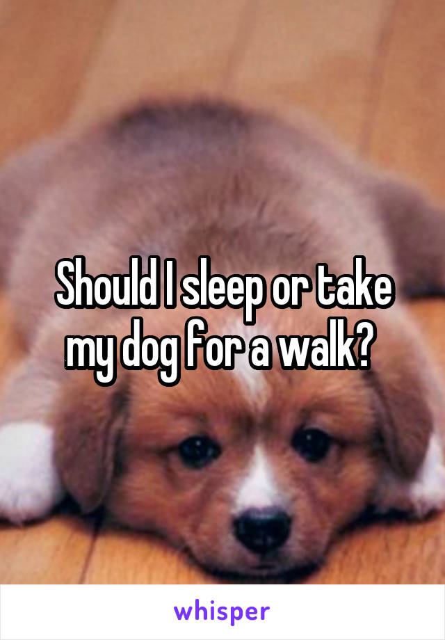 Should I sleep or take my dog for a walk? 