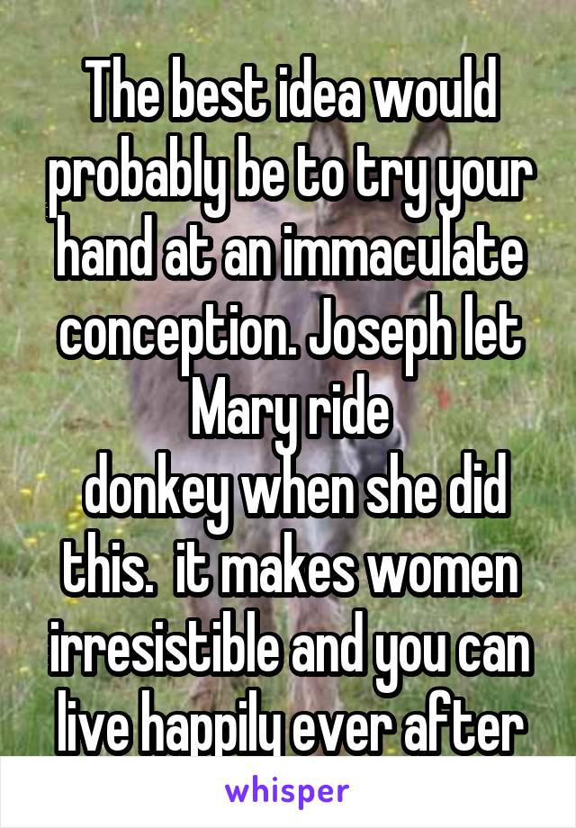 The best idea would probably be to try your hand at an immaculate conception. Joseph let Mary ride
 donkey when she did this.  it makes women irresistible and you can live happily ever after