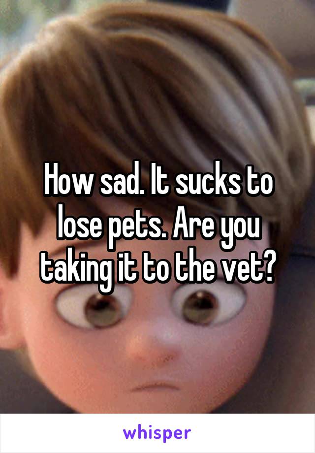 How sad. It sucks to lose pets. Are you taking it to the vet?