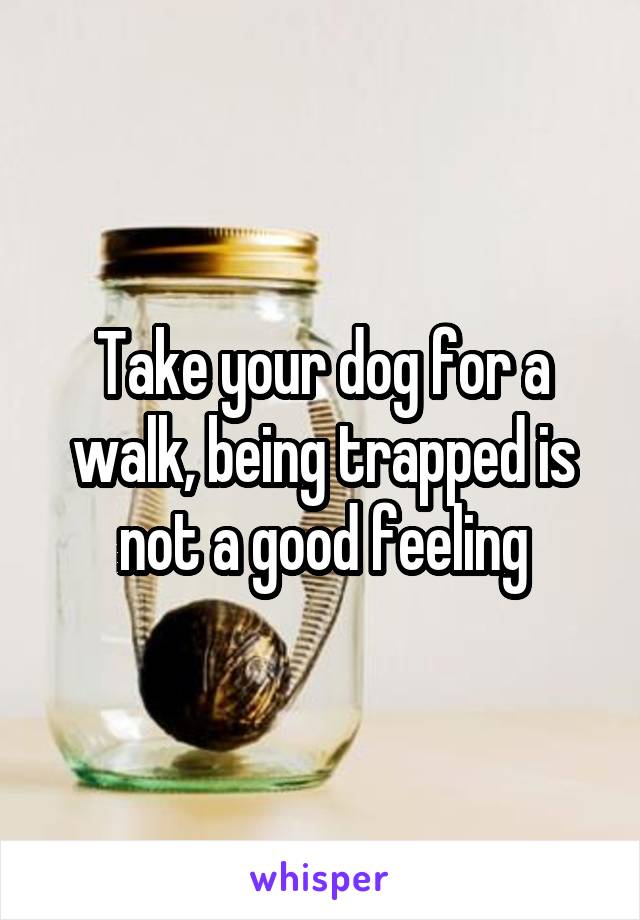 Take your dog for a walk, being trapped is not a good feeling