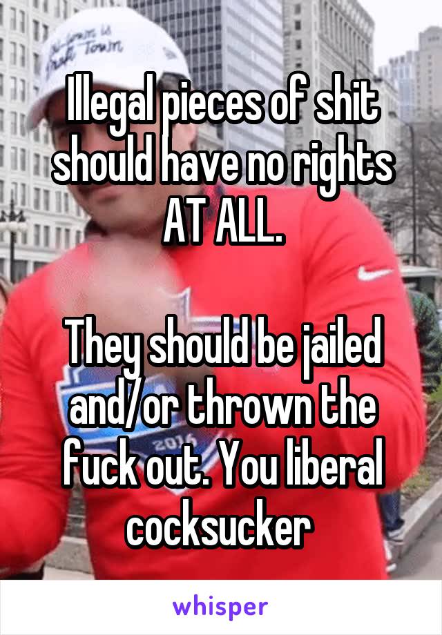 Illegal pieces of shit should have no rights AT ALL.

They should be jailed and/or thrown the fuck out. You liberal cocksucker 