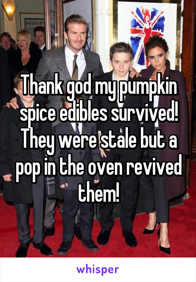 Thank god my pumpkin spice edibles survived! They were stale but a pop in the oven revived them!