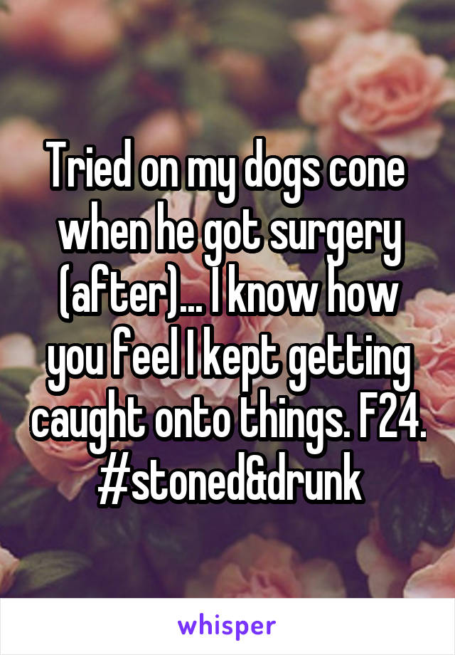 Tried on my dogs cone  when he got surgery (after)... I know how you feel I kept getting caught onto things. F24. #stoned&drunk