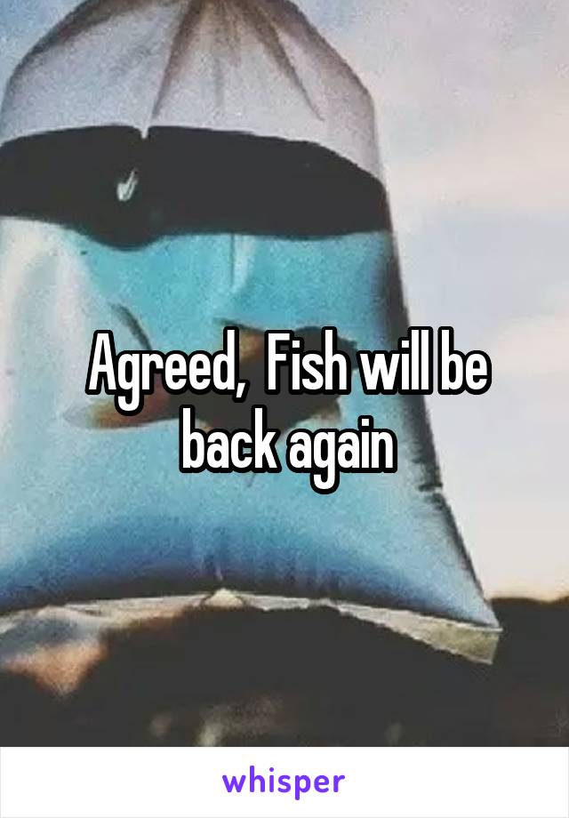 Agreed,  Fish will be back again