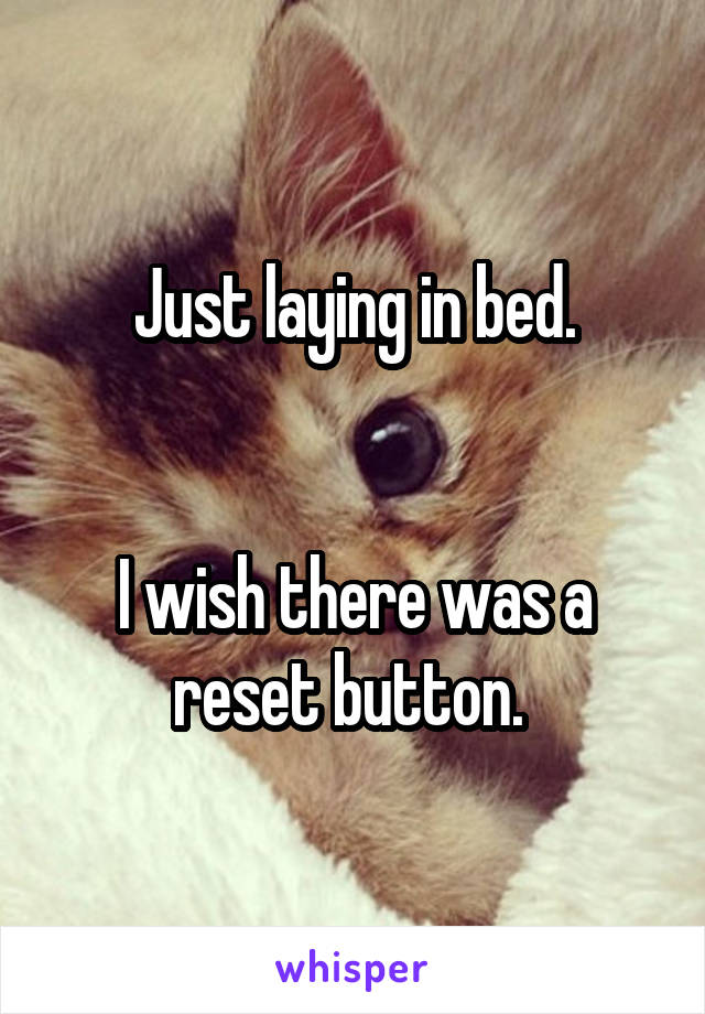 Just laying in bed.


I wish there was a reset button. 