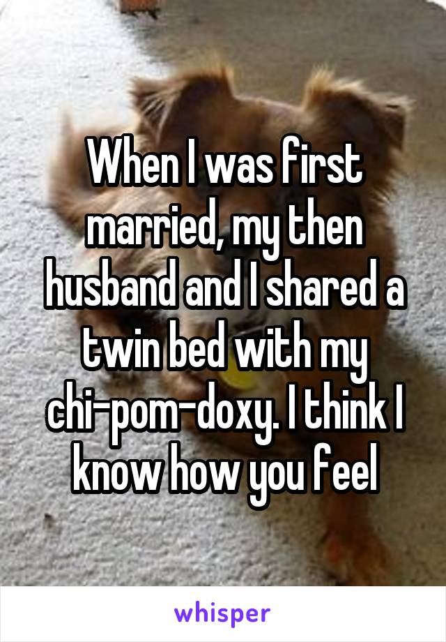 When I was first married, my then husband and I shared a twin bed with my chi-pom-doxy. I think I know how you feel