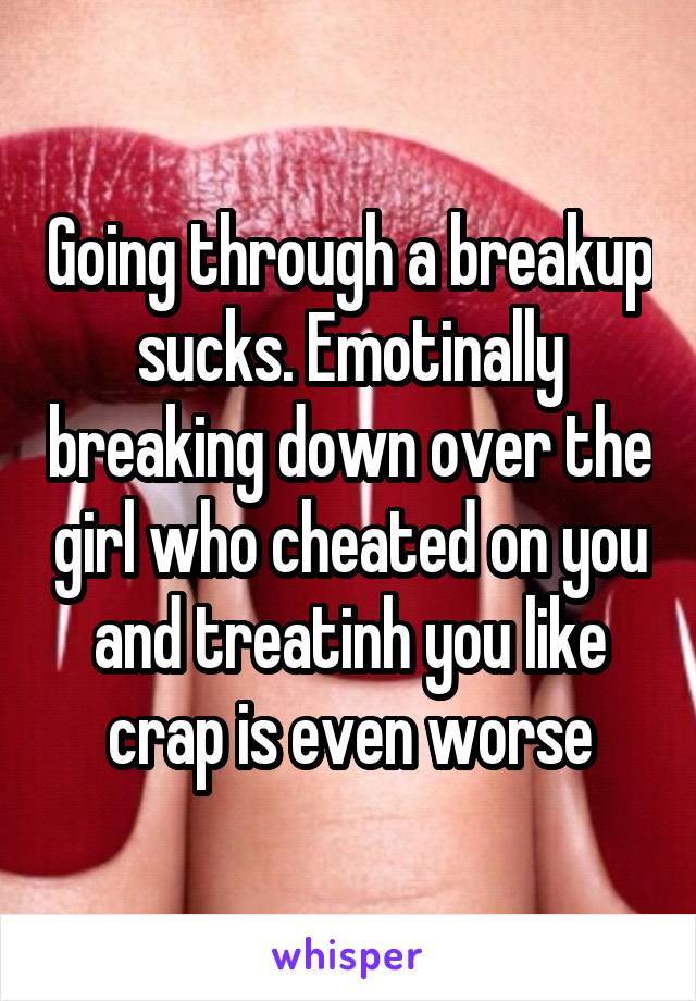 Going through a breakup sucks. Emotinally breaking down over the girl who cheated on you and treatinh you like crap is even worse