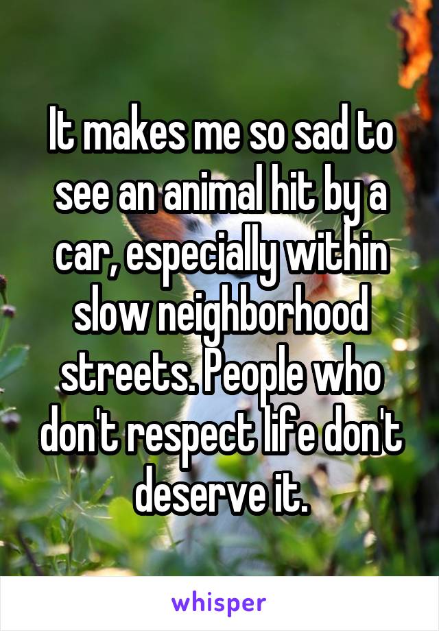 It makes me so sad to see an animal hit by a car, especially within slow neighborhood streets. People who don't respect life don't deserve it.
