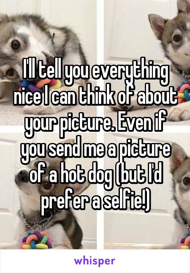 I'll tell you everything nice I can think of about your picture. Even if you send me a picture of a hot dog (but I'd prefer a selfie!)