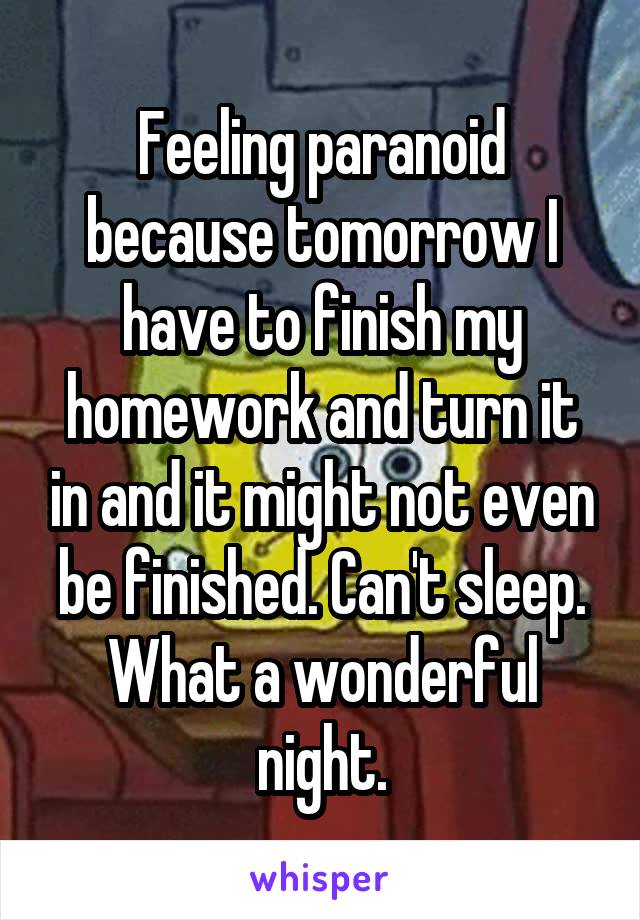 Feeling paranoid because tomorrow I have to finish my homework and turn it in and it might not even be finished. Can't sleep. What a wonderful night.