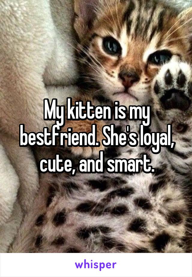 My kitten is my bestfriend. She's loyal, cute, and smart.