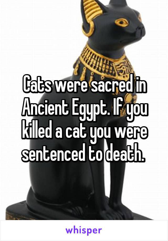 Cats were sacred in Ancient Egypt. If you killed a cat you were sentenced to death. 