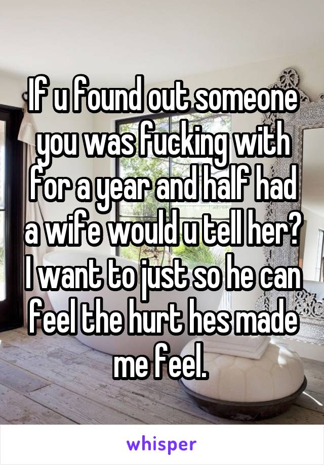If u found out someone you was fucking with for a year and half had a wife would u tell her? I want to just so he can feel the hurt hes made me feel. 