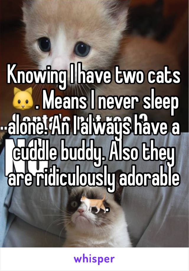 Knowing I have two cats 🐱. Means I never sleep alone. An I always have a cuddle buddy. Also they are ridiculously adorable 🐈. 