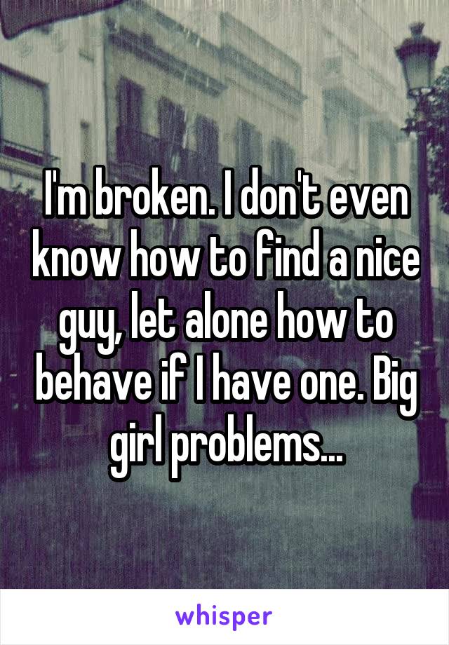 I'm broken. I don't even know how to find a nice guy, let alone how to behave if I have one. Big girl problems...