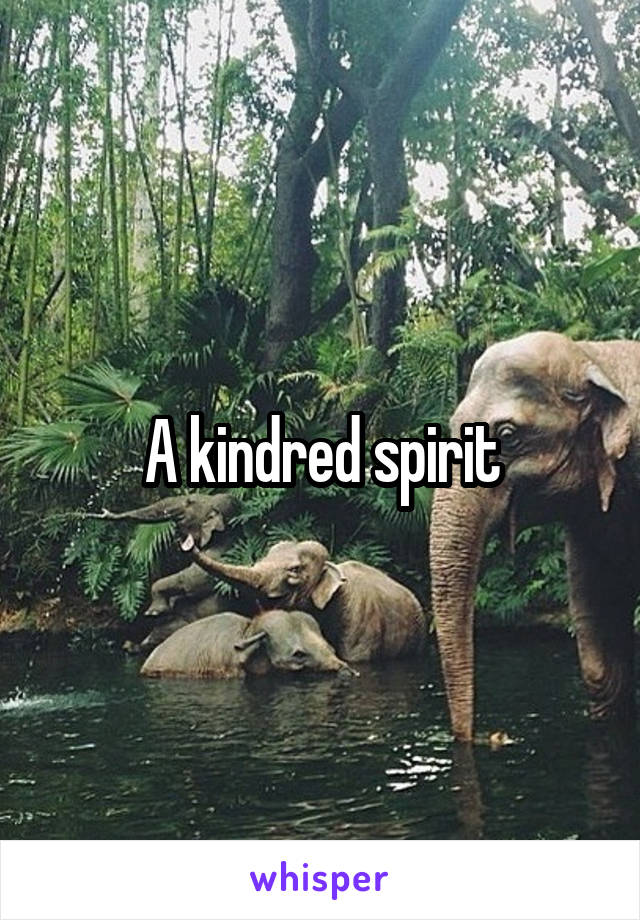 A kindred spirit
