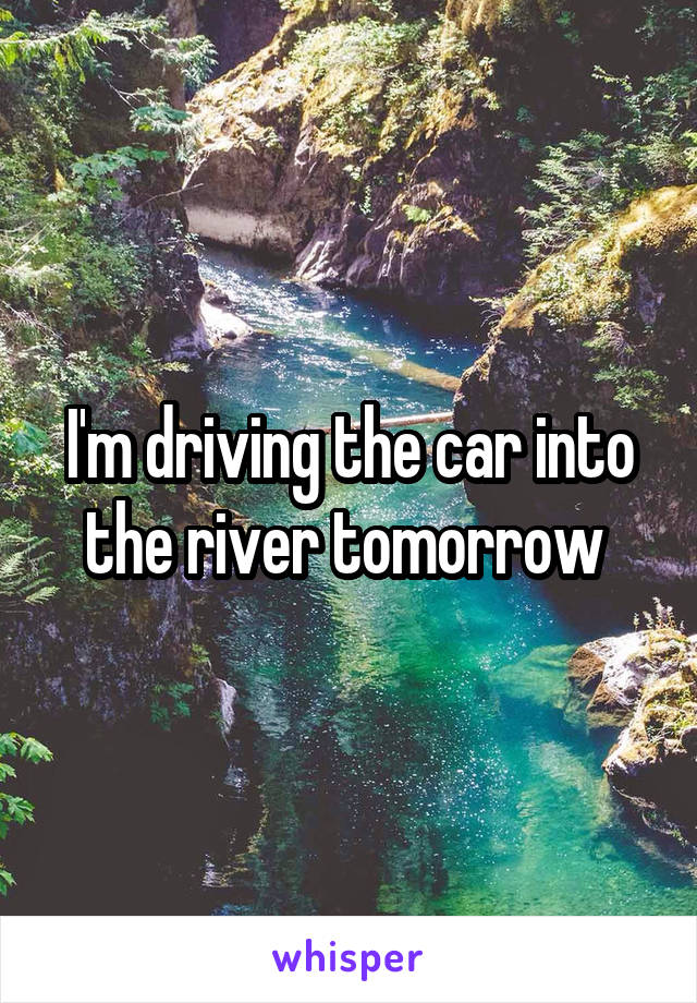I'm driving the car into the river tomorrow 