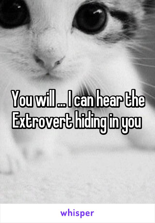 You will ... I can hear the Extrovert hiding in you 