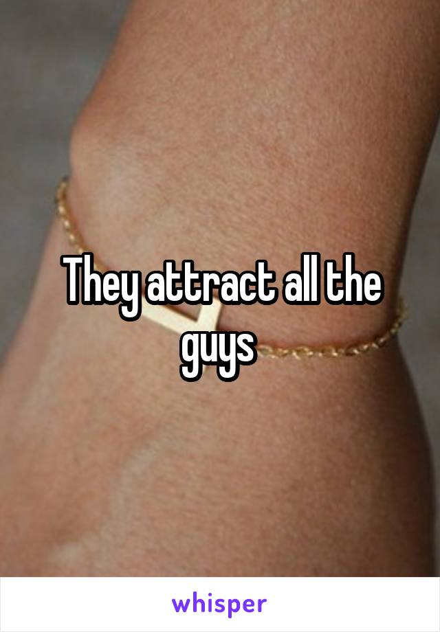 They attract all the guys 
