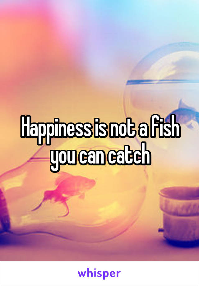 Happiness is not a fish you can catch
