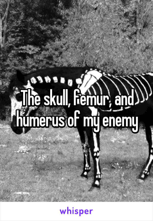 The skull, femur, and humerus of my enemy