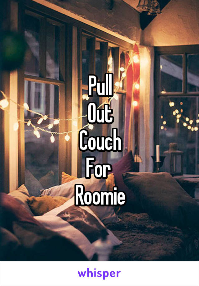 Pull
Out
Couch
For 
Roomie