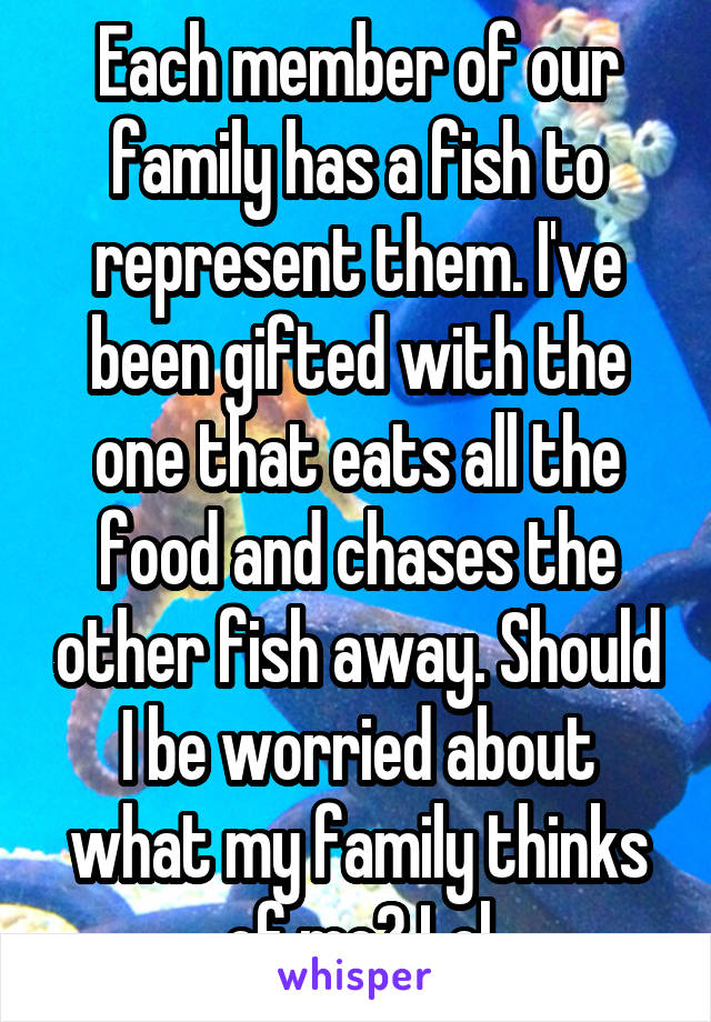 Each member of our family has a fish to represent them. I've been gifted with the one that eats all the food and chases the other fish away. Should I be worried about what my family thinks of me? Lol