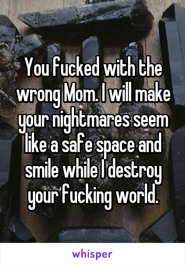 You fucked with the wrong Mom. I will make your nightmares seem like a safe space and smile while I destroy your fucking world.