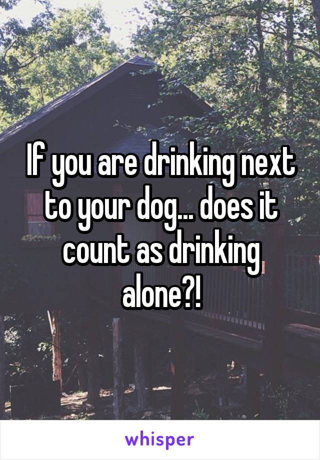 If you are drinking next to your dog... does it count as drinking alone?!