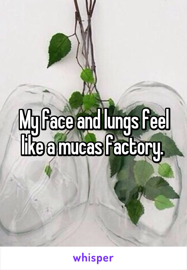 My face and lungs feel like a mucas factory. 
