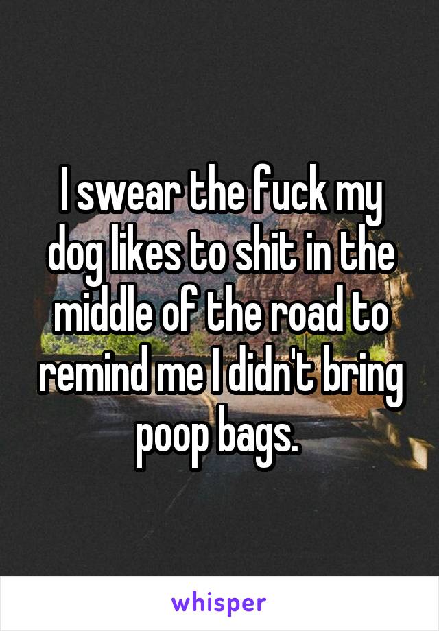 I swear the fuck my dog likes to shit in the middle of the road to remind me I didn't bring poop bags. 