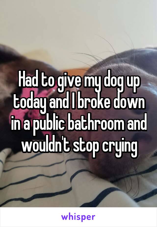 Had to give my dog up today and I broke down in a public bathroom and wouldn't stop crying