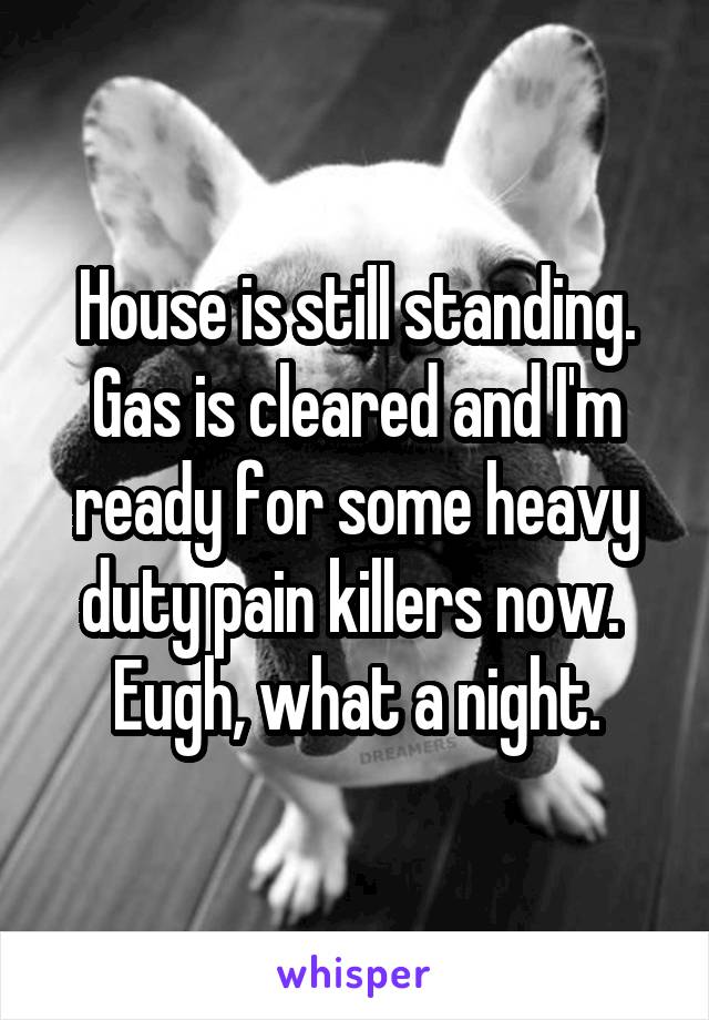 House is still standing. Gas is cleared and I'm ready for some heavy duty pain killers now. 
Eugh, what a night.