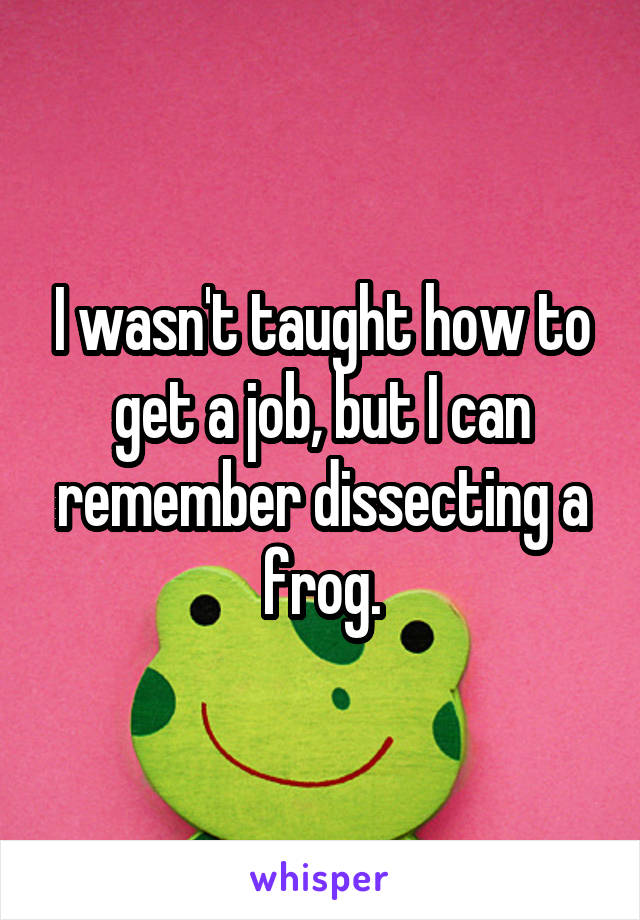 I wasn't taught how to get a job, but I can remember dissecting a frog.