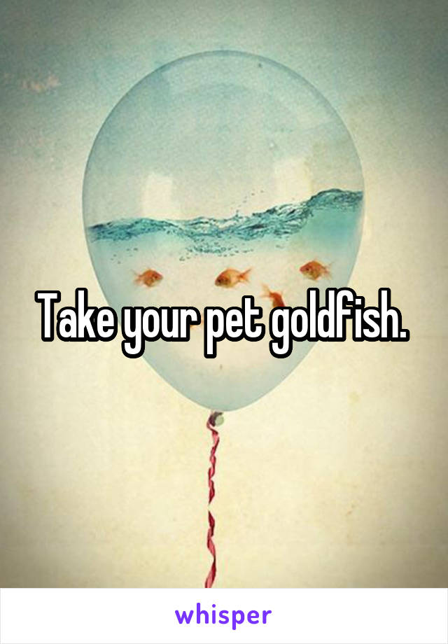 Take your pet goldfish. 