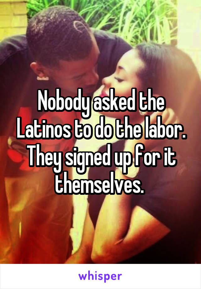 Nobody asked the Latinos to do the labor. They signed up for it themselves. 