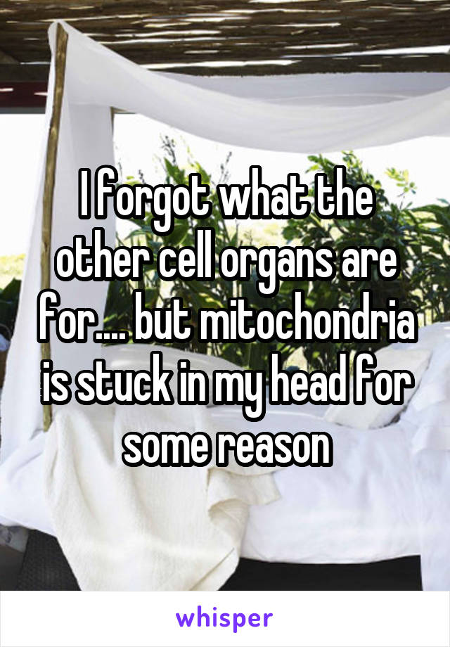 I forgot what the other cell organs are for.... but mitochondria is stuck in my head for some reason