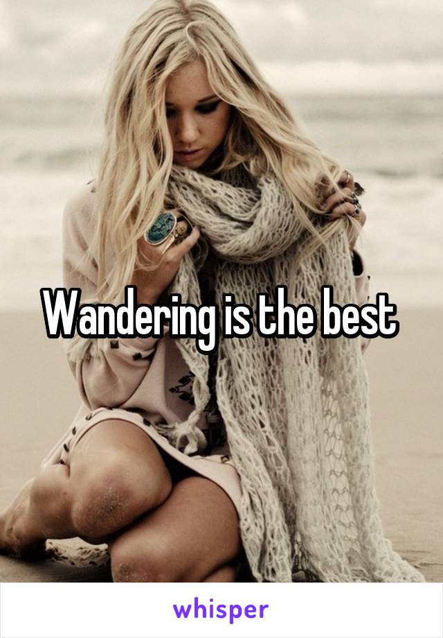 Wandering is the best 