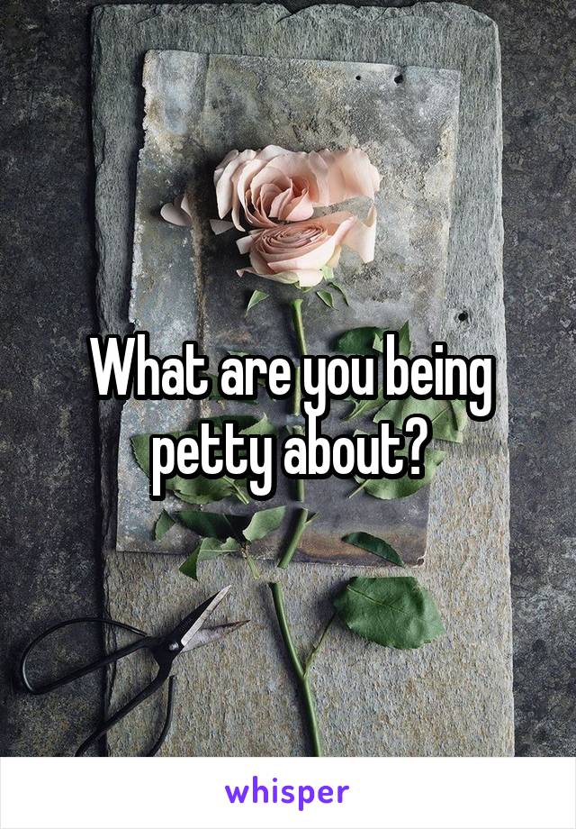 What are you being petty about?