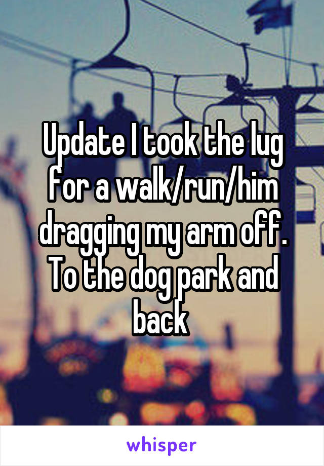 Update I took the lug for a walk/run/him dragging my arm off. To the dog park and back 