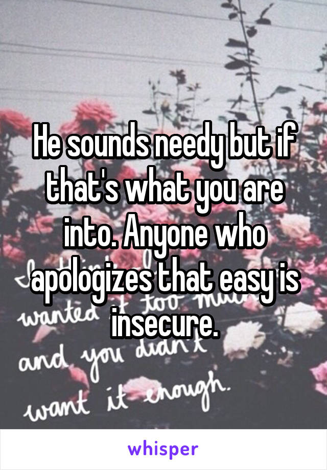 He sounds needy but if that's what you are into. Anyone who apologizes that easy is insecure.