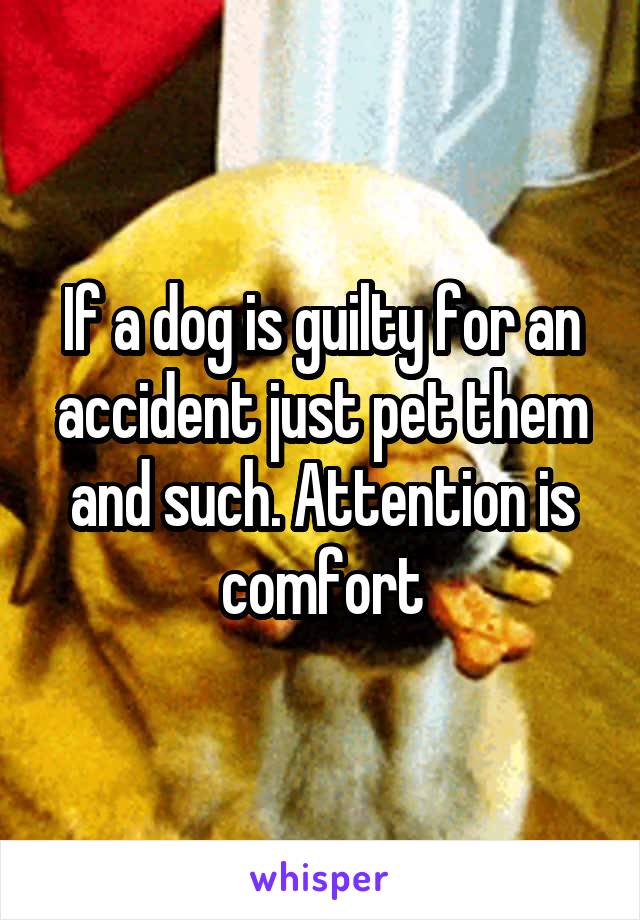 If a dog is guilty for an accident just pet them and such. Attention is comfort